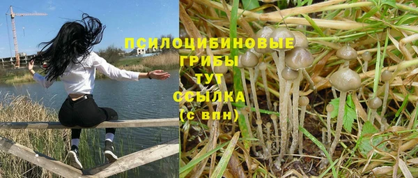 мяу мяу кристалл Ельня