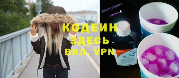spice Дмитриев
