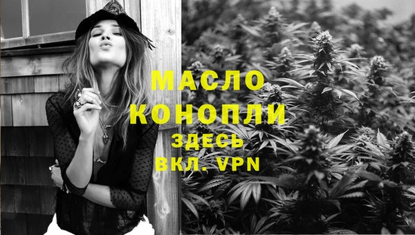 мет Дмитров