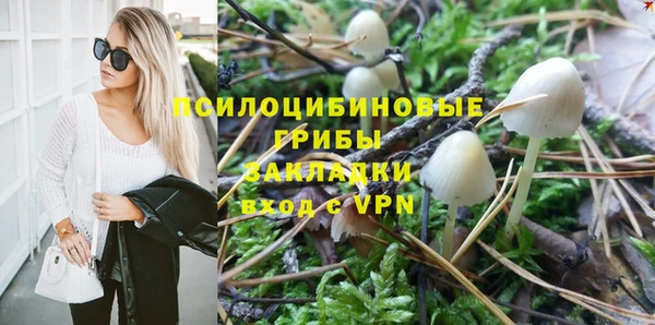 спиды Елабуга