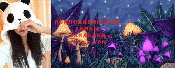 мет Дмитров